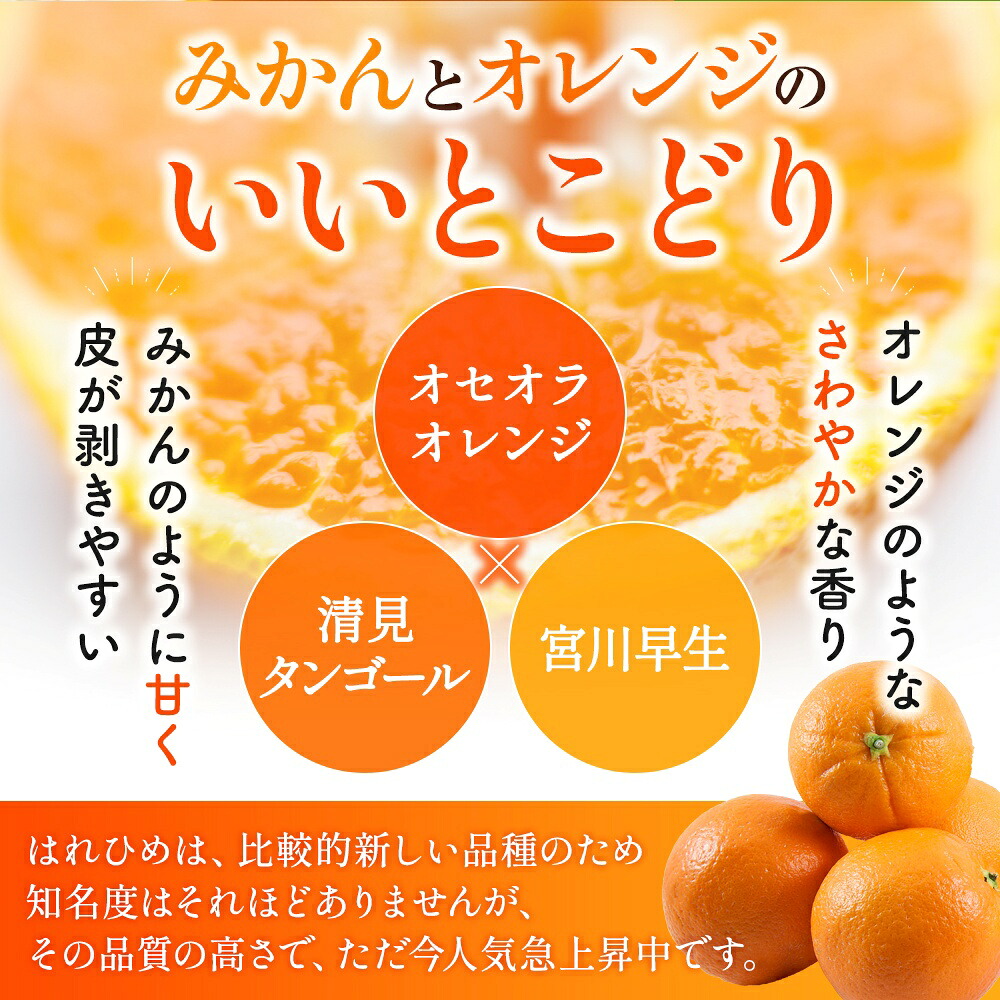 【先行予約】希少種みかん はれひめ 秀品 約5kg (25個～30個)  ※2026年12月中旬～2027年2月初旬頃に順次発送予定（お届け日指定不可）| 和歌山 みかん ミカン【kgr004A】