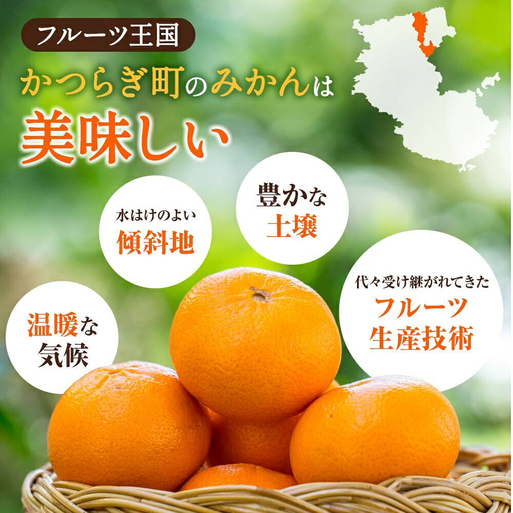 【先行予約】希少種みかん はれひめ 秀品 約5kg (25個～30個)  ※2026年12月中旬～2027年2月初旬頃に順次発送予定（お届け日指定不可）| 和歌山 みかん ミカン【kgr004A】
