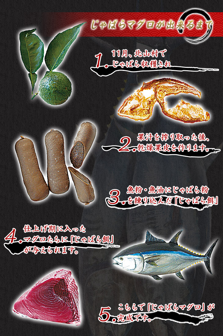 【年末発送・1ヶ月以内に発送】本マグロ（養殖）トロ＆赤身セット 1kg【配達日指定不可】 / まぐろ 鮪 とろ 赤身 魚介 海鮮 魚 本マグロ【nks105B】