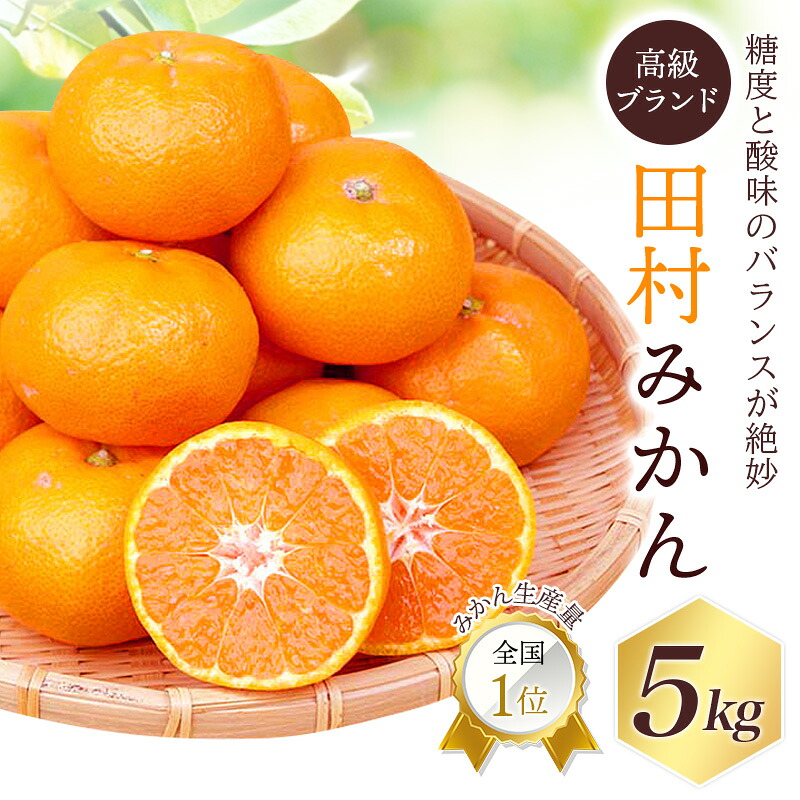 高級ブランド 田村みかん 5kg