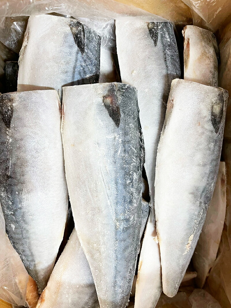 【ご家庭用】大容量！塩さばフィレ 3.5kg さば サバ 鯖 フィレ 切り身 切身 魚 海鮮 焼き魚 おかず【uot749D】