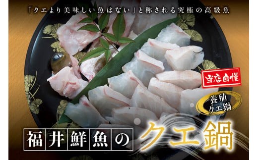 幻のクエ 養殖クエ鍋 500g
