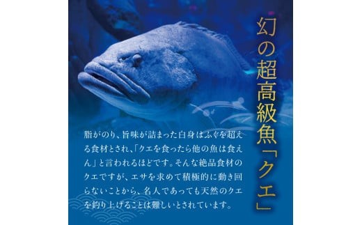 【先行予約】幻のクエ！国産 養殖クエ鍋 500g くえ 鍋 セット 【fki100】