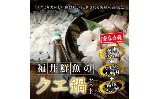 幻のクエ くえ刺身&鍋 湯浅ゆずポン酢セット