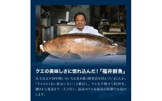 【先行予約】幻のクエ！国産 くえ刺身＆鍋 湯浅ゆずポン酢セット くえ 鍋 セット【fki103】