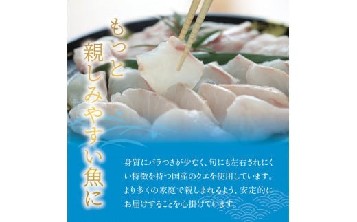 【先行予約】幻のクエ！国産 天然クエ鍋 500g くえ 鍋 セット 【fki104】