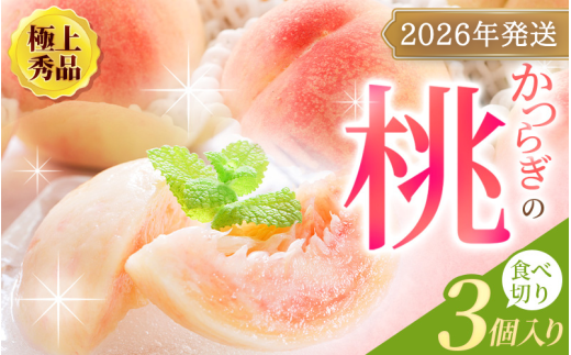 あふれる果汁で口いっぱい 食べきりサイズ