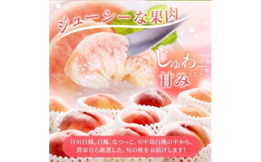 【先行予約】【厳選】あふれる果汁で口いっぱい！ 食べきりサイズ 和歌山県産 桃 3玉 【2026年6月末頃～2026年8月末頃に順次発送予定】（お届け日指定不可）【kgr002】