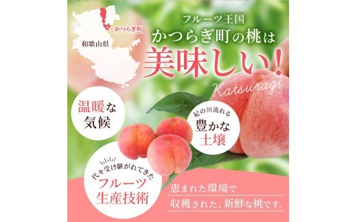 【先行予約】【厳選】あふれる果汁で口いっぱい！ 食べきりサイズ 和歌山県産 桃 3玉 【2026年6月末頃～2026年8月末頃に順次発送予定】（お届け日指定不可）【kgr002】