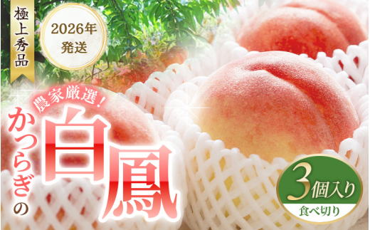 桃の王様 白鳳 特秀品 うれしい食べきり容量 3玉
