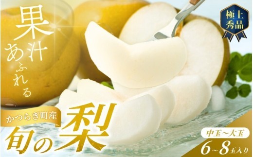 【先行予約】旬の梨(幸水ー豊水ーあきづき) 極上秀品(中玉~大玉)6~8個入り 2026年8月中旬~9月中旬頃に順次発送予定(お届け日指定不可) | 和歌山 梨【kgr015】
