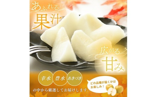 【先行予約】旬の梨(幸水ー豊水ーあきづき) 極上秀品(中玉~大玉)6~8個入り 2026年8月中旬~9月中旬頃に順次発送予定(お届け日指定不可) | 和歌山 梨【kgr015】