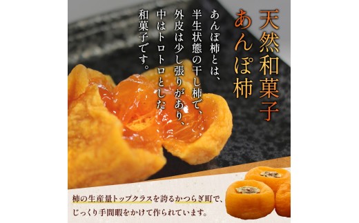 あんぽ柿 和歌山県産 70g×15玉 化粧箱入り | 柿 かき デザート おやつ 和菓子 菓子 お菓子 和歌山産 和歌山県産【kgr017】