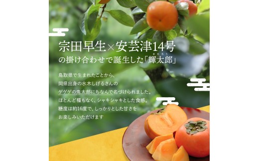 希少な柿【輝太郎】大玉6個~7個 コクのある甘さ!こだわり農家厳選【2026年9月末~10月末頃に順次発送予定】 | 柿 かき 果物 フルーツ 輝太郎 デザート【kgr018】