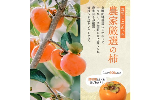 希少な柿【輝太郎】大玉6個~7個 コクのある甘さ!こだわり農家厳選【2026年9月末~10月末頃に順次発送予定】 | 柿 かき 果物 フルーツ 輝太郎 デザート【kgr018】