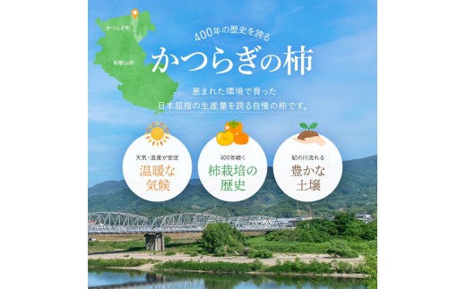 希少な柿【輝太郎】大玉6個~7個 コクのある甘さ!こだわり農家厳選【2026年9月末~10月末頃に順次発送予定】 | 柿 かき 果物 フルーツ 輝太郎 デザート【kgr018】