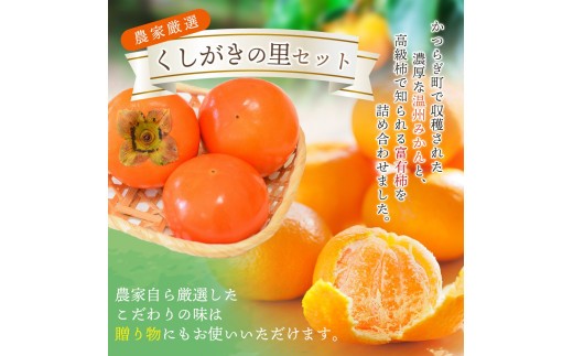【先行予約】 道の駅くしがきの里セット 富有柿3個・温州みかん約30個の詰め合わせ こだわり農家厳選 【2026年11月上旬~12月中旬頃に順次発送予定】【kgr022】