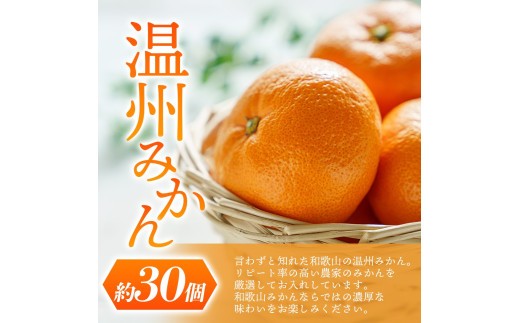 【先行予約】 道の駅くしがきの里セット 富有柿3個・温州みかん約30個の詰め合わせ こだわり農家厳選 【2026年11月上旬~12月中旬頃に順次発送予定】【kgr022】