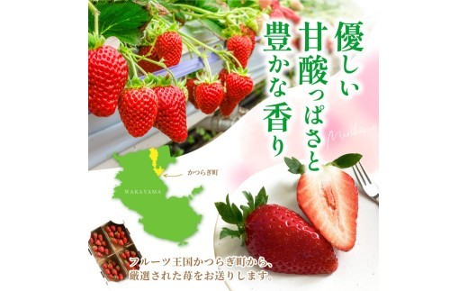 【先行予約】まりひめイチゴ4パック 食べやすいひと口サイズ M~L(15粒~20粒入×4パック)【2027年1月中旬~3月下旬頃に順次発送】(お届け日指定不可)【kgr034】