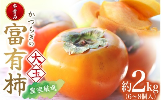 先行予約 富有柿 赤秀品大玉6個~8個入 こだわり農家厳選【2026年10月末から11月末頃順次発送】 / 柿 フルーツ 果物 かき 和歌山 かつらぎ 農家直送 贈答【kgr043】