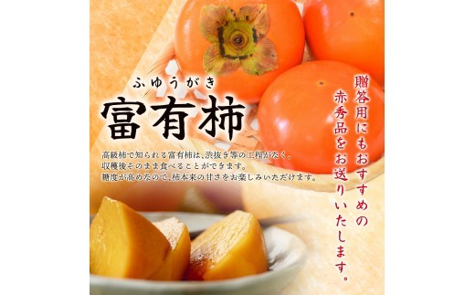 先行予約 富有柿 赤秀品大玉6個~8個入 こだわり農家厳選【2026年10月末から11月末頃順次発送】 / 柿 フルーツ 果物 かき 和歌山 かつらぎ 農家直送 贈答【kgr043】