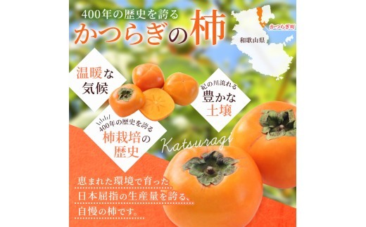 先行予約 富有柿 赤秀品大玉6個~8個入 こだわり農家厳選【2026年10月末から11月末頃順次発送】 / 柿 フルーツ 果物 かき 和歌山 かつらぎ 農家直送 贈答【kgr043】