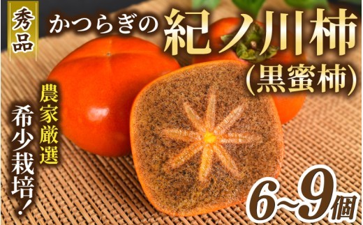 【先行予約】紀の川柿 (果実の中身が黒い!黒蜜柿)希少栽培! 秀品6個~9個 こだわり農家厳選!【2026年10月上旬から11月上旬頃発送】/ 和歌山県 かつらぎ町【kgr044】