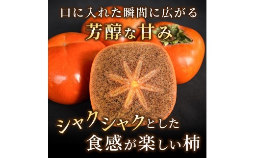 【先行予約】紀の川柿 (果実の中身が黒い!黒蜜柿)希少栽培! 秀品6個~9個 こだわり農家厳選!【2026年10月上旬から11月上旬頃発送】/ 和歌山県 かつらぎ町【kgr044】