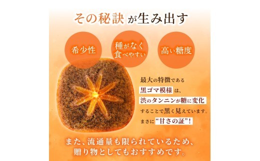 【先行予約】紀の川柿 (果実の中身が黒い!黒蜜柿)希少栽培! 秀品6個~9個 こだわり農家厳選!【2026年10月上旬から11月上旬頃発送】/ 和歌山県 かつらぎ町【kgr044】