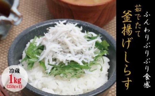 茹でたて釜揚げしらす 1kg(250g×4パック)【冷蔵】無添加・無着色 しらす シラス 釜揚げ 小分け 冷蔵【mar101】