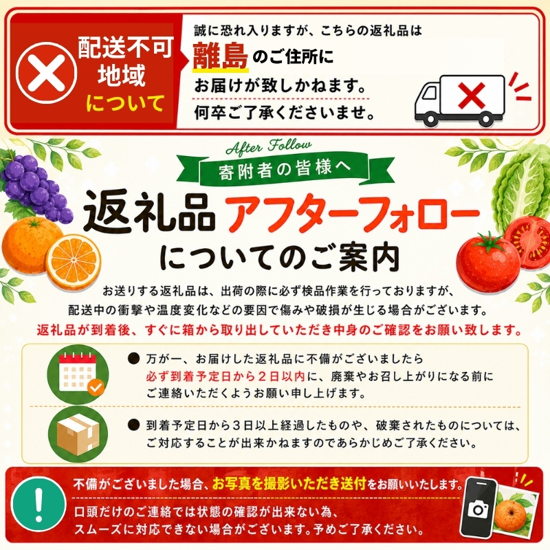 【先行予約受付】高級ブランド田村みかん 10kg 大玉サイズ ※2026年11月下旬~2027年1月下旬頃に順次発送予定(お届け日指定不可)【uot716】