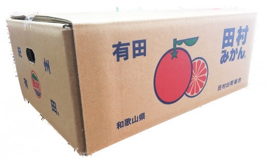 【先行予約受付】高級ブランド田村みかん 10kg 大玉サイズ ※2026年11月下旬~2027年1月下旬頃に順次発送予定(お届け日指定不可)【uot716】