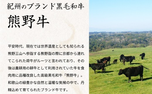 熊野牛A4以上ヒレシャトーブリアンステーキ200g(100g×2枚)&霜降り赤身こま切れ300g【uot745】