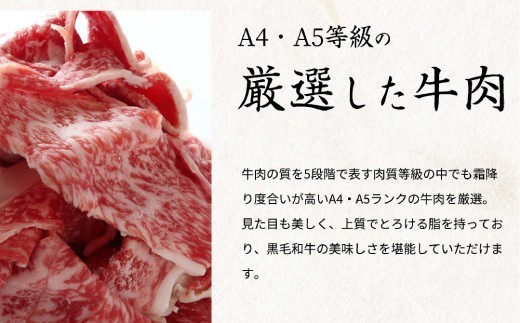 熊野牛A4以上ヒレシャトーブリアンステーキ200g(100g×2枚)&霜降り赤身こま切れ300g【uot745】