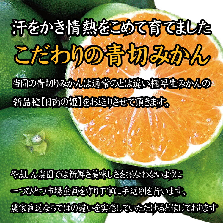 こだわりの青切りみかん 約2~10kg 有機質肥料100% ※2026年9月~10月に順次発送予定(お届け日指定不可)【nuk169B】【nuk142C】【nuk150D】【nuk107F】【nuk108F】