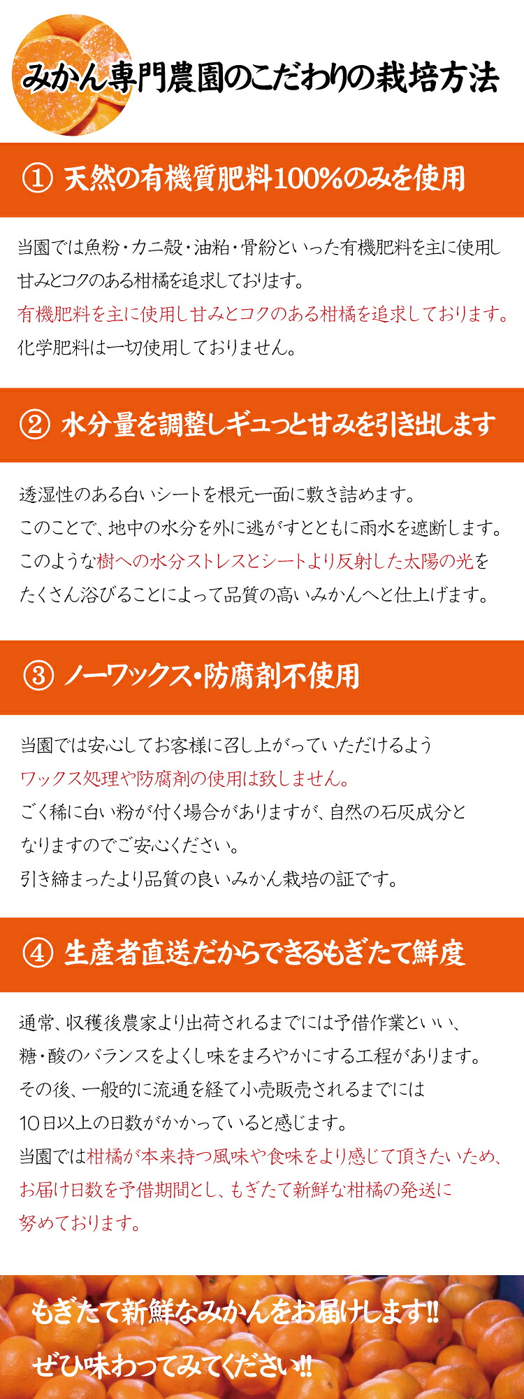 こだわりの青切りみかん 約2~10kg 有機質肥料100% ※2026年9月~10月に順次発送予定(お届け日指定不可)【nuk169B】【nuk142C】【nuk150D】【nuk107F】【nuk108F】