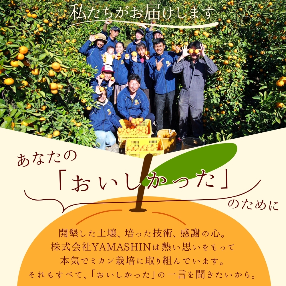 みかん こだわりの青切りみかん 約2～10kg 有機質肥料100% みかん 有田みかん 温州みかん ミカン ※2026年9月～10月に順次発送予定（お届け日指定不可）【nuk169B】【nuk142C】【nuk150D】【nuk107F】【nuk108F】