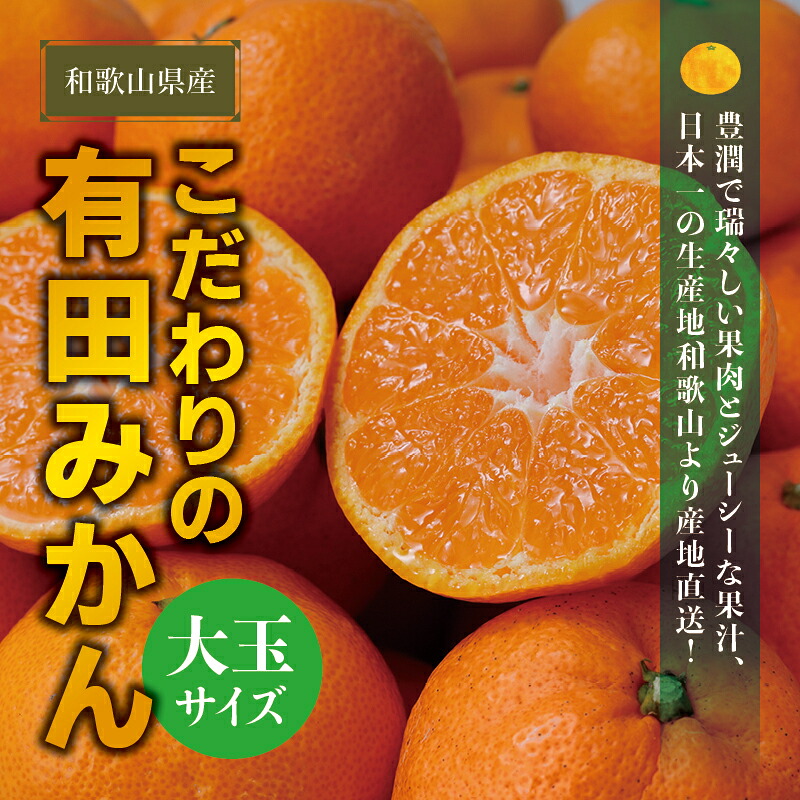 有田みかん 約7.5~10kg 大玉3L以上 有機質肥料100% 光センサー選別 ※2026年11月~12月に順次発送(お届け日指定不可) みかん 有田ミカン 【nuk158D】【nuk139F】