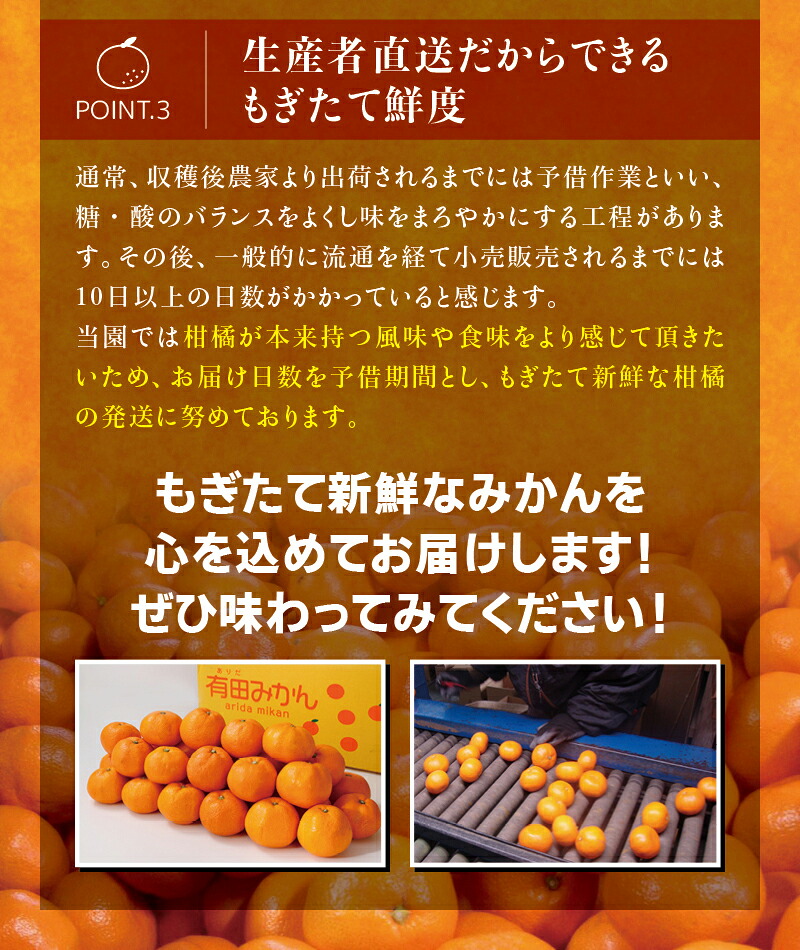 有田みかん 約7.5~10kg 大玉3L以上 有機質肥料100% 光センサー選別 ※2026年11月~12月に順次発送(お届け日指定不可) みかん 有田ミカン 【nuk158D】【nuk139F】