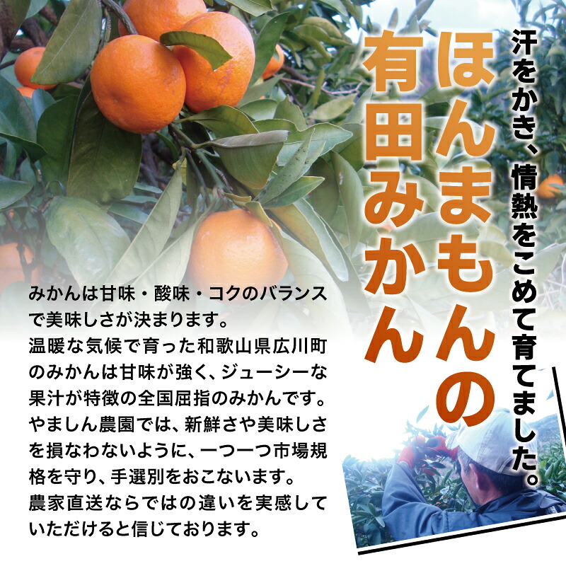 極 有田みかんプレミアム 約2~10kg【光センサー 高糖度選別品】2S~Lサイズ 有機質肥料100% みかん ミカン 蜜柑 柑橘 温州みかん フルーツ 果物【nuk154G】【nuk168C】【nuk155G】【nuk156D】