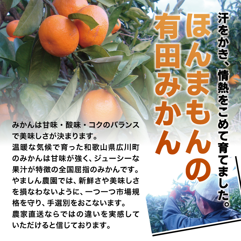 【発送月が選べる】みかん こだわりの有田みかん 約5kg＋150g(傷み補償分)  ご家庭用 みかん 有田みかん 温州みかん ミカン【nuk160-10】【nuk160-11C】【nuk160-12D】【nuk160-01B】