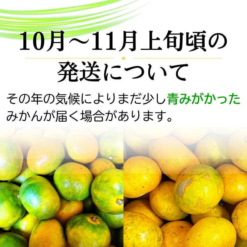【発送月が選べる】 ご家庭用 こだわりの有田みかん 約5kg+150g(傷み補償分) / みかん柑橘 【nuk160-10】【nuk160-11C】【nuk160-12D】【nuk160-01B】