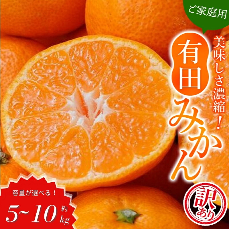 【 訳あり 】 有田みかん 約5~10kg ご家庭用 サイズ混合 農家直送 ※2026年11月~2027年1月に順次発送予定(お届け日指定不可) 訳ありみかん みかん ミカン 蜜柑【nuk161E】【nuk157F】【nuk138H】