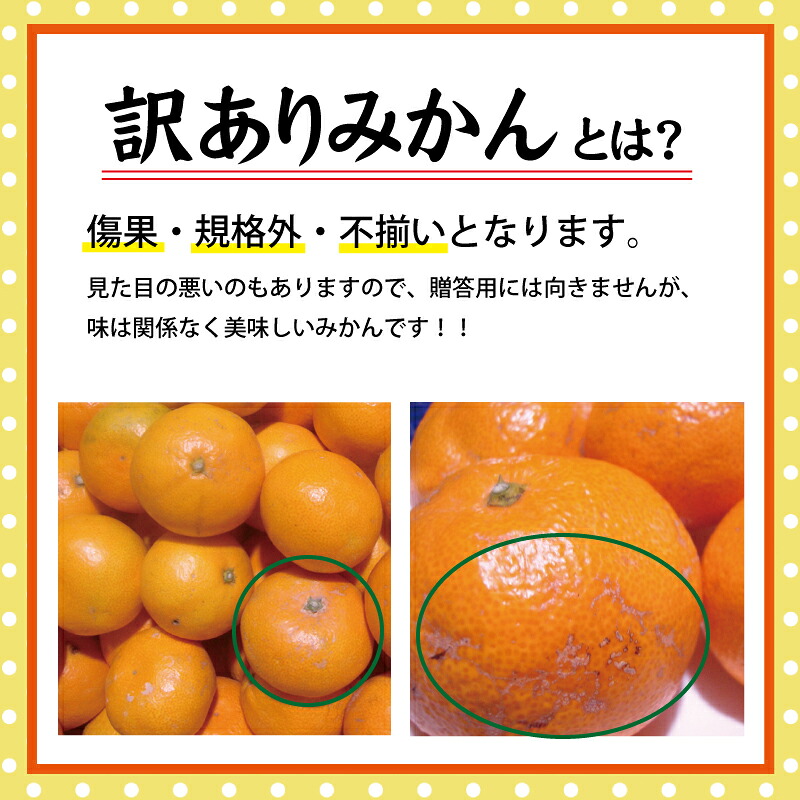 【 訳あり 】 有田みかん 約5~10kg ご家庭用 サイズ混合 農家直送 ※2026年11月~2027年1月に順次発送予定(お届け日指定不可) 訳ありみかん みかん ミカン 蜜柑【nuk161E】【nuk157F】【nuk138H】