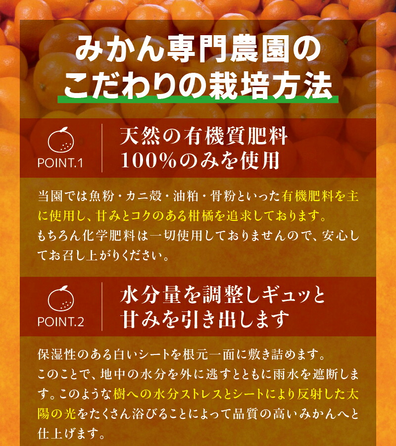 【 訳あり 】 有田みかん 約5~10kg ご家庭用 サイズ混合 農家直送 ※2026年11月~2027年1月に順次発送予定(お届け日指定不可) 訳ありみかん みかん ミカン 蜜柑【nuk161E】【nuk157F】【nuk138H】