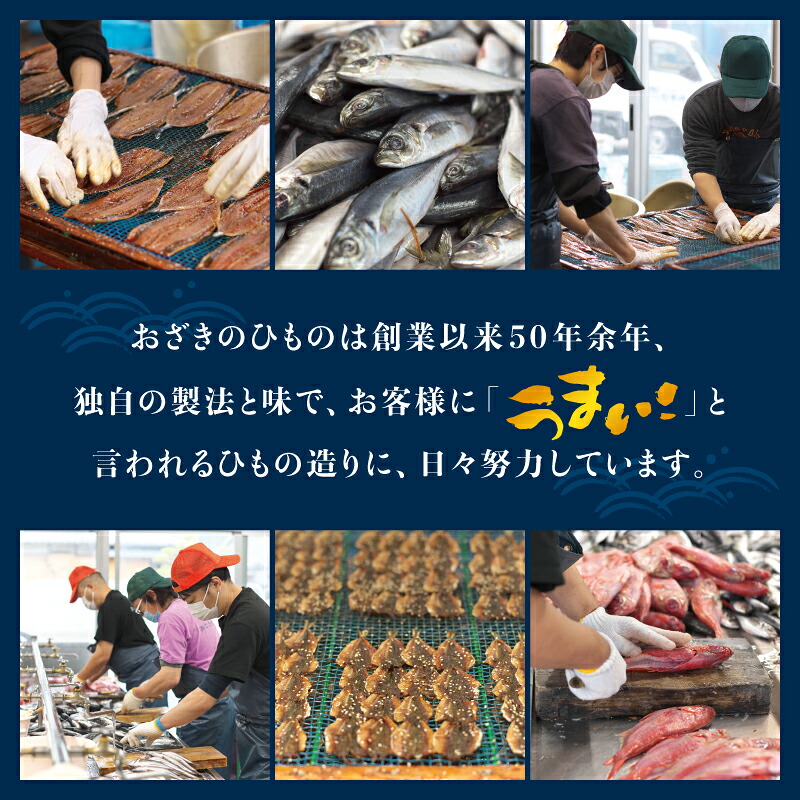 【訳あり干物セット】たっぷり 15～25点以上！おざきのひもの「おまかせスペシャルセット」【ご好評につき再販決定】【冷凍】【ozk102-1】【ozk103A-1】