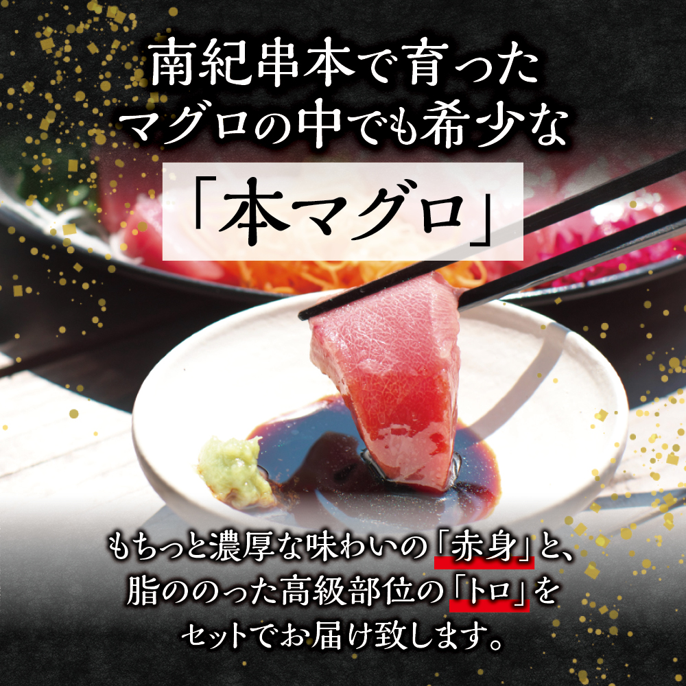 【年末発送予約受付中】まぐろ 本マグロ トロ＆赤身セット 240～3kg（養殖） 高級 クロマグロ【配達日指定不可】【nks105B-nks110D-nks111-nks112-nks113】