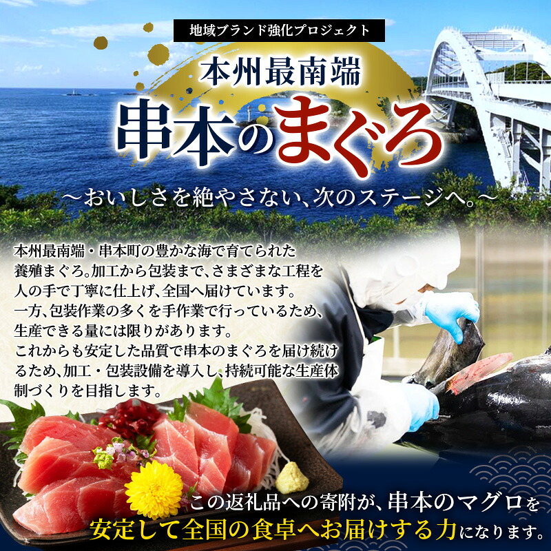 【年末発送予約受付中】まぐろ 本マグロ トロ＆赤身セット 240～3kg（養殖） 高級 クロマグロ【配達日指定不可】【nks105B-nks110D-nks111-nks112-nks113】