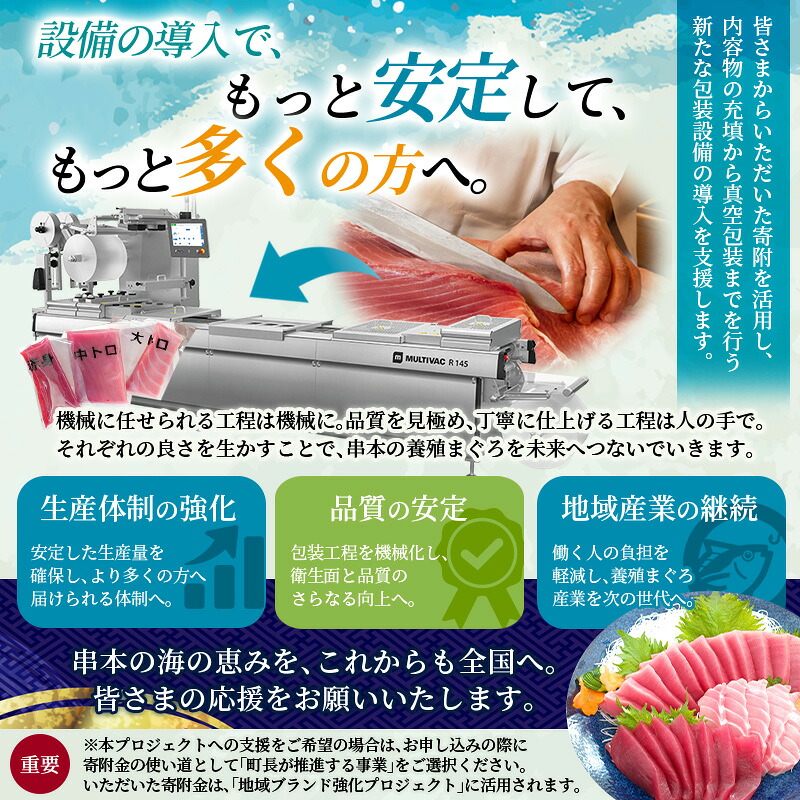 【年末発送予約受付中】まぐろ 本マグロ トロ＆赤身セット 240～3kg（養殖） 高級 クロマグロ【配達日指定不可】【nks105B-nks110D-nks111-nks112-nks113】