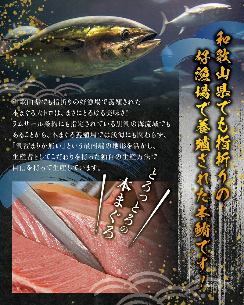 本マグロ 中とろ 400g & 大とろ 200g のセット(サク)「プレミア和歌山認定」 和歌山県でも指折りの好漁場で養殖された本鮪です! 南紀串本よしだ本鮪【mhs104A】